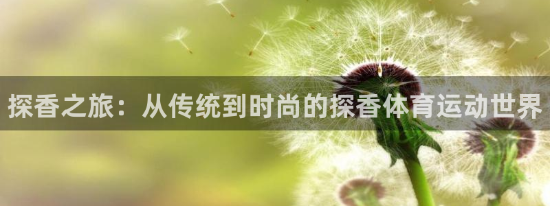 沐鸣2体育官网