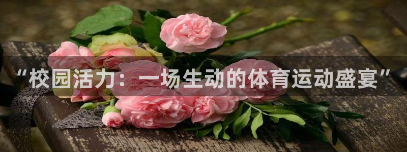 沐鸣2平台