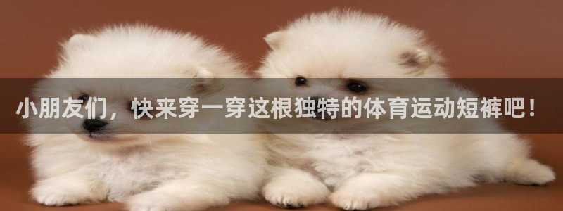 成都沐鸣2电子有限公司