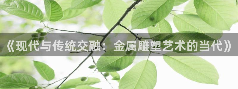 ii博导登录入口