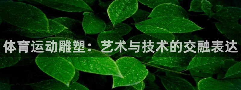 沐鸣2体育凯捷平台注册